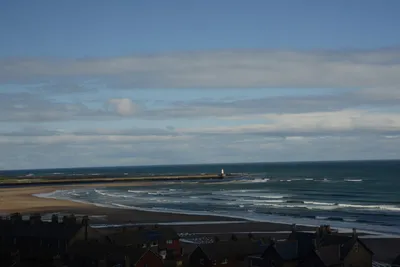 DSC_7231 (Large).JPG